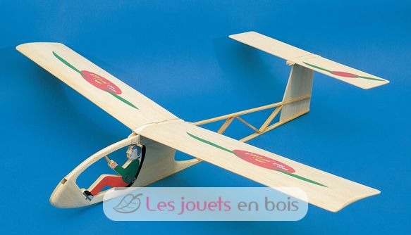 Pino Glider AN-109300 Aero-naut 2