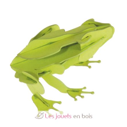 3D Paper model - Frog FR-11609 Fridolin 1