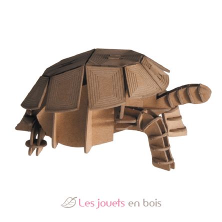 3D Paper model - Tortoise FR-11625 Fridolin 1