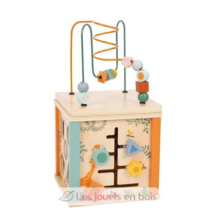 Motor Activity Cube Safari LE11960 Small foot company 2