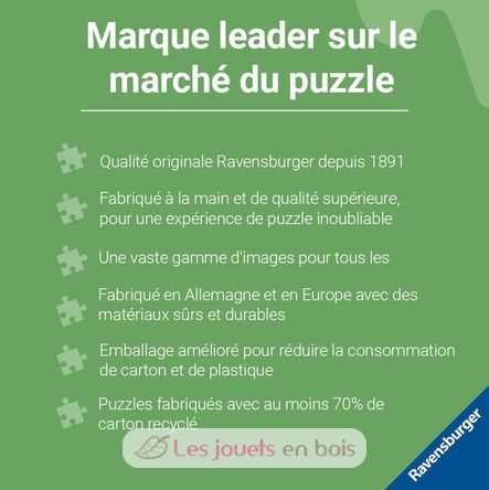 Puzzle Aladdin 1000 pieces RAV12000002 Ravensburger 6