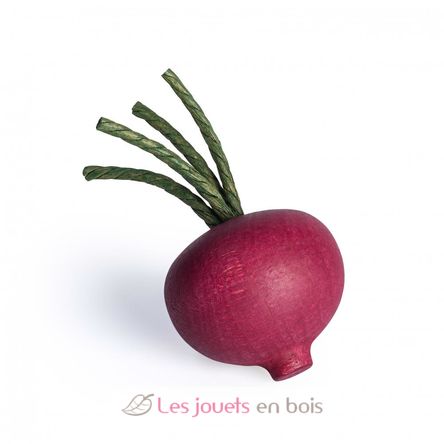 Beetroot ER12202 Erzi 1