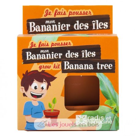 I grow my Banana tree RC-014265 Radis et Capucine 3