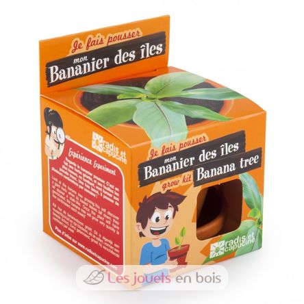 I grow my Banana tree RC-014265 Radis et Capucine 4