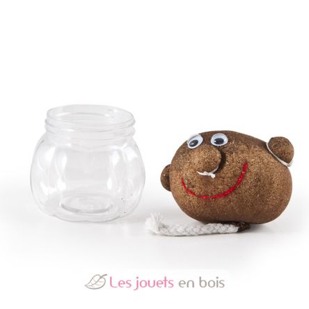 Mr GREEN - grass kit RC-015417 Radis et Capucine 4