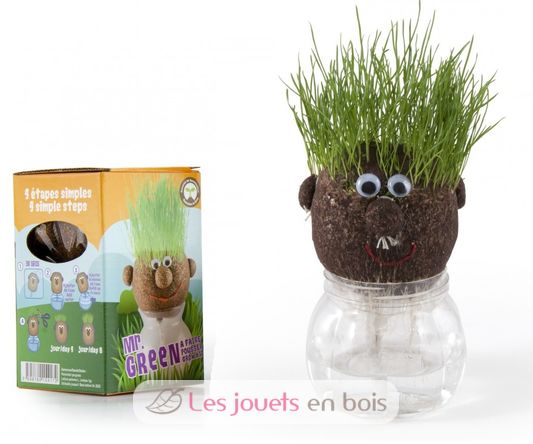 Mr GREEN - grass kit RC-015417 Radis et Capucine 1