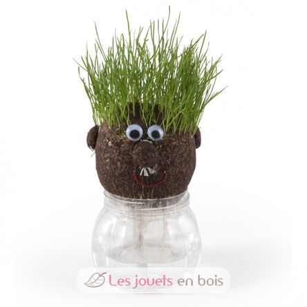 Mr GREEN - grass kit RC-015417 Radis et Capucine 2