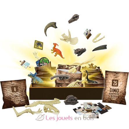 Dino Surprise Box BUK2135 Buki France 2