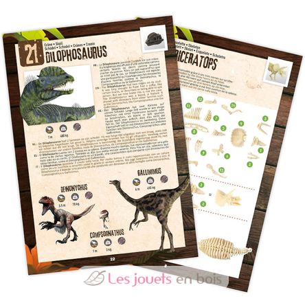 Dino Surprise Box BUK2135 Buki France 4
