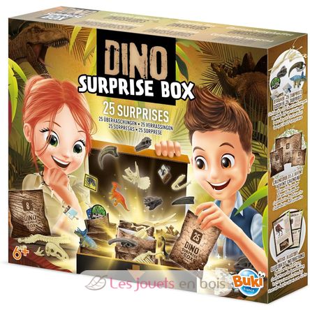 Dino Surprise Box BUK2135 Buki France 1