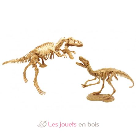 Dino Dig T-Rex and Raptor BUK2139 Buki France 3