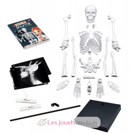 Giant skeleton 85 cm BUK-2181 Buki France 2