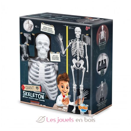 Giant skeleton 85 cm BUK-2181 Buki France 1