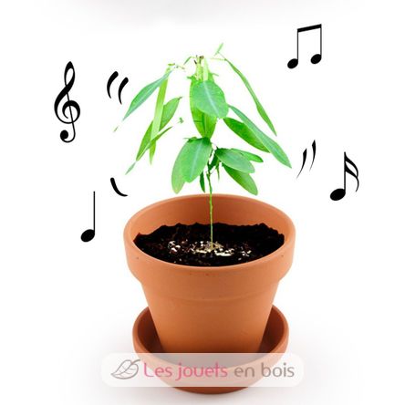 I grow my Dancing Plant RC-028733 Radis et Capucine 2