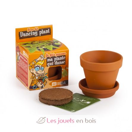 I grow my Dancing Plant RC-028733 Radis et Capucine 4