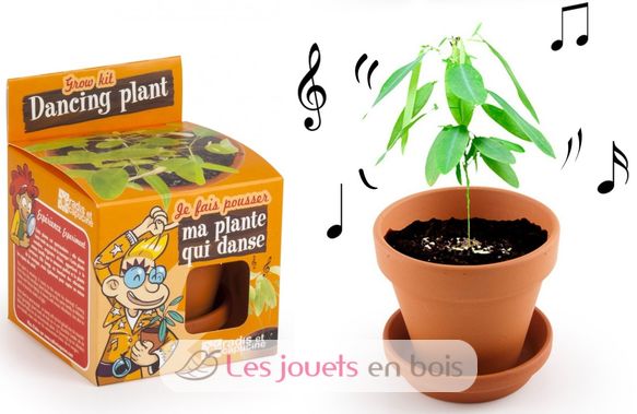 I grow my Dancing Plant RC-028733 Radis et Capucine 1