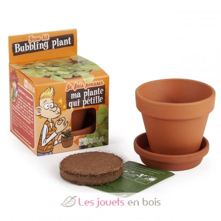 I grow my Bubbling plant RC-029637 Radis et Capucine 2