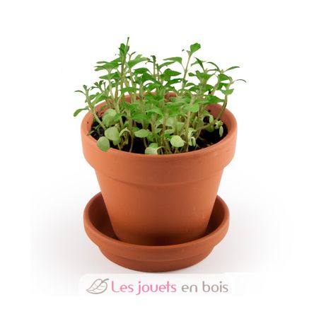 I grow my Bubbling plant RC-029637 Radis et Capucine 3