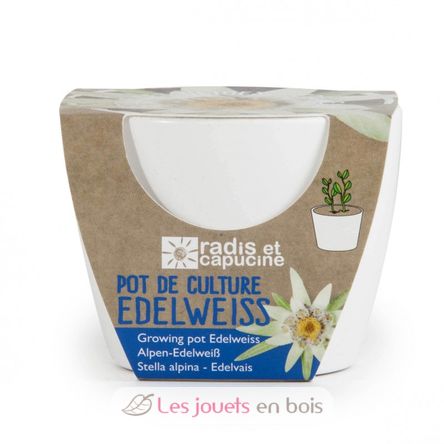 White ceramic pot 8 cm - Edelweiss RC-029656 Radis et Capucine 2