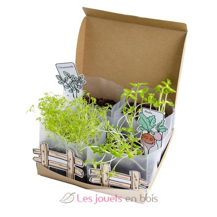 Mini garden RC-034139 Radis et Capucine 5