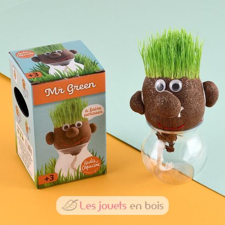 Mr GREEN - grass kit RC-015417 Radis et Capucine 2