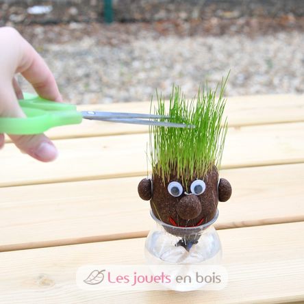 Mr GREEN - grass kit RC-015417 Radis et Capucine 3