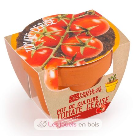 Organic tomato in terracotta pot RC-003565 Radis et Capucine 3