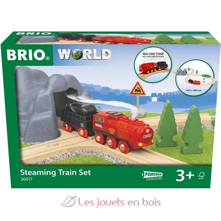 Steam Battery Locomotive Circuit BR-36017 Brio 1