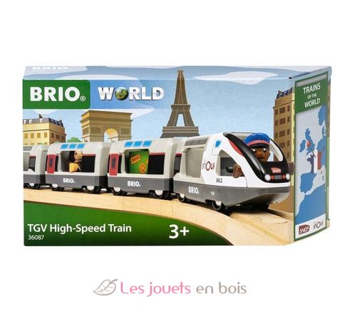 TGV INOUI Train BR36087 Brio 6