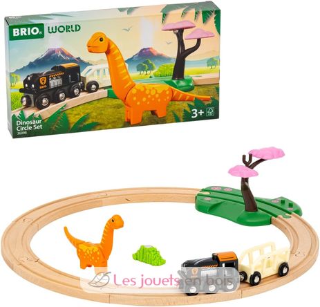 Dinosaur Circle set BR-36098 Brio 2