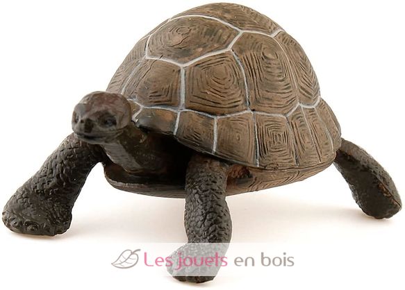 Turtle figurine PA50013-2906 Papo 3