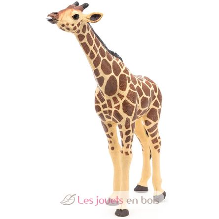 Giraffe head raised PA50236 Papo 5