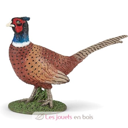 Pheasant figurine PA-50263 Papo 2