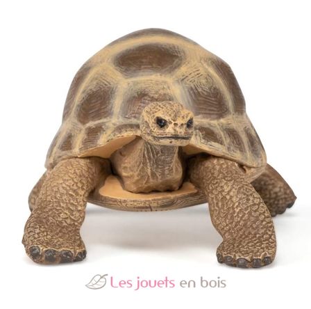 Hermann's Turtle Figurine PA-50264 Papo 3