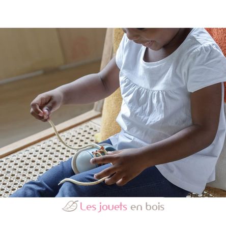 Tie Up Shoe Orchard Series PT5409 Plan Toys, The green company 10