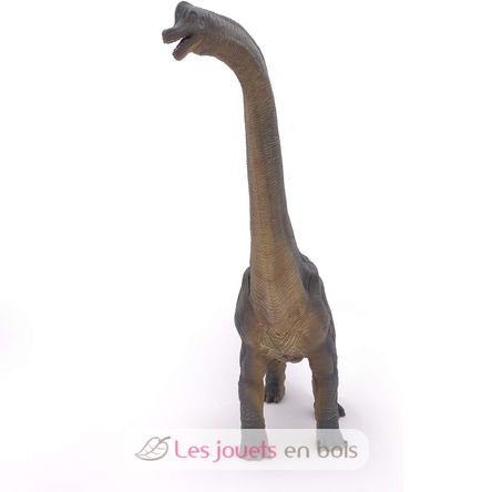 Brachiosaurus figure PA55030-3130 Papo 3