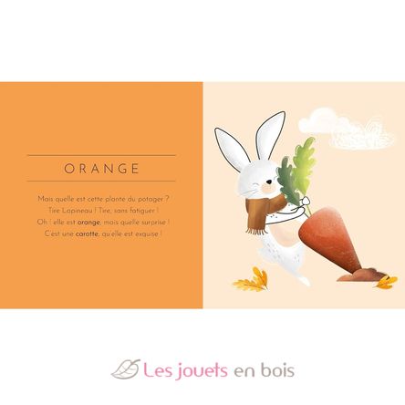Touch Book - Colors SJ-5569 Sassi Junior 2