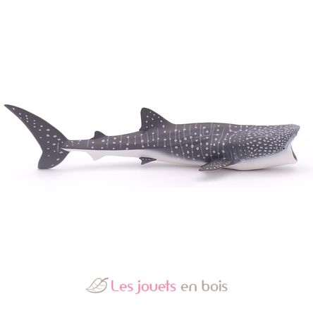 Whale Shark Figurine PA56039 Papo 6