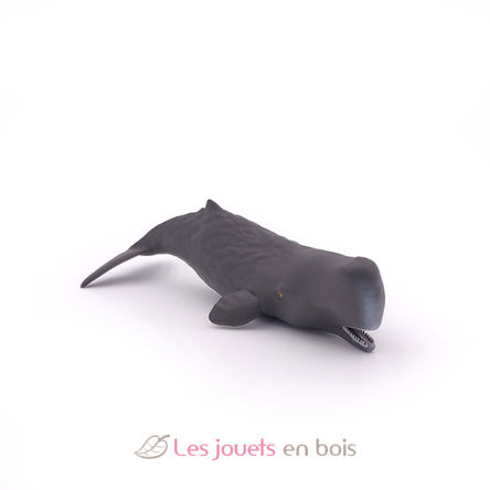 Baby sperm whale figure PA56045 Papo 3