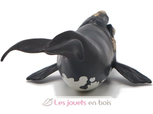 Figurine young right whale PA-56057 Papo 3