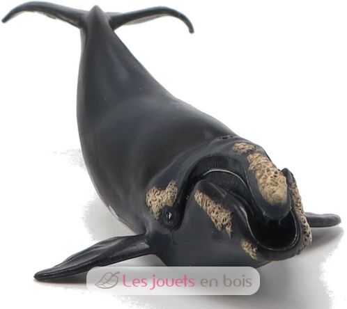 Figurine young right whale PA-56057 Papo 2