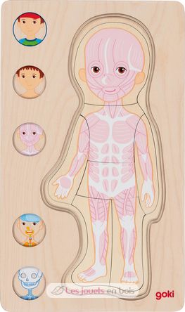 Human body puzzle, boy GK57361 Goki 4