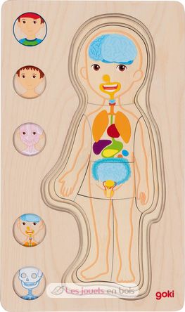 Human body puzzle, boy GK57361 Goki 6