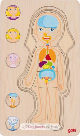 Human body puzzle, girl GK57362 Goki 4