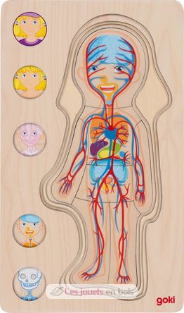 Human body puzzle, girl GK57362 Goki 5