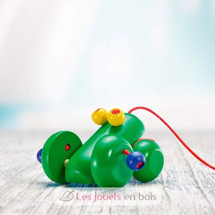 Ranolo frog SE1639-4231 Selecta 4