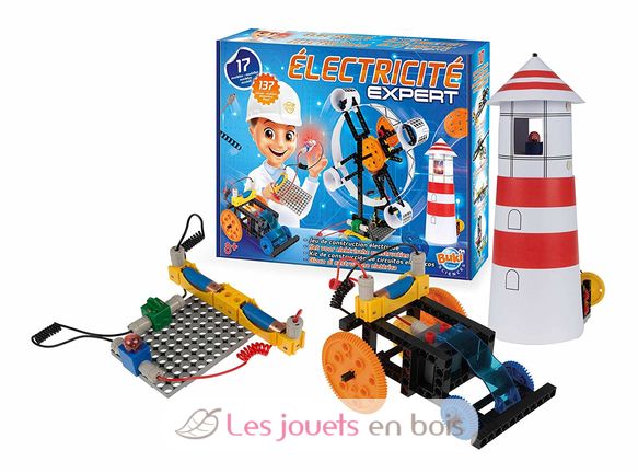 Electricity Expert BUK7153 Buki France 4