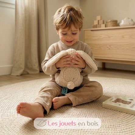 Dream Buddies Bunny Cloudb-7472-BBN Cloud b 6