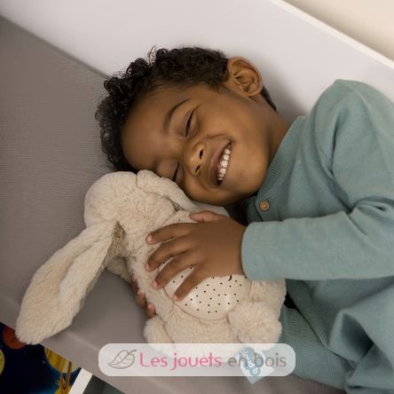 Dream Buddies Bunny Cloudb-7472-BBN Cloud b 7