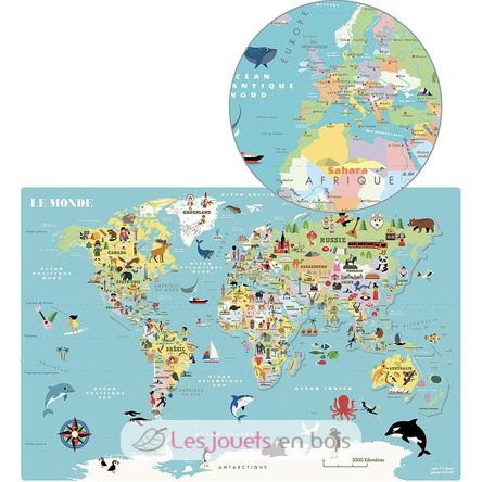 Magnetic map of World Ingela P. Arrhenius V7612 Vilac 2